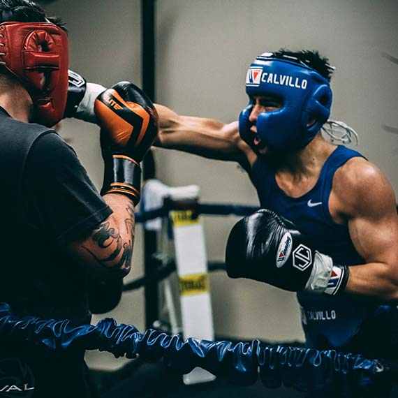 Boxers training in a club