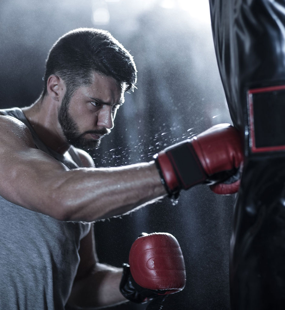 Boxer training